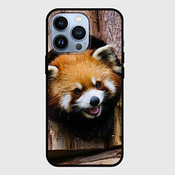 Чехол для iPhone 13 Pro Красная панда в дереве, цвет: 3D-черный
