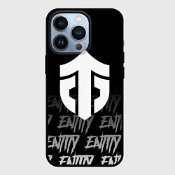 Чехол для iPhone 13 Pro Entity, цвет: 3D-черный
