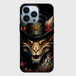 Чехол для iPhone 13 Pro Волшебный дракон снега, цвет: 3D-черный