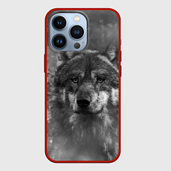 Чехол для iPhone 13 Pro Серый волк на сером фоне, цвет: 3D-красный