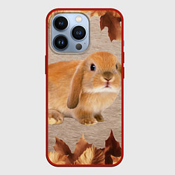 Чехол для iPhone 13 Pro Рыжий кролик, цвет: 3D-красный
