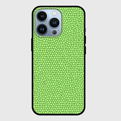 Чехол для iPhone 13 Pro Светло-зелёный мозаика, цвет: 3D-черный