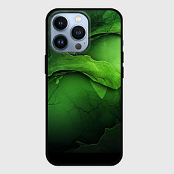 Чехол для iPhone 13 Pro Зеленая яркая абстрактная текстура, цвет: 3D-черный