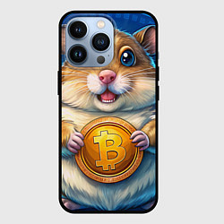 Чехол iPhone 13 Pro Хомячок с криптой