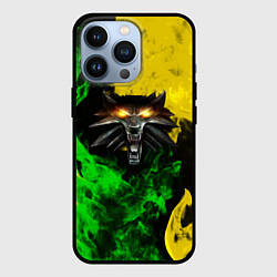 Чехол для iPhone 13 Pro The Witcher in fire, цвет: 3D-черный