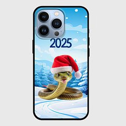 Чехол для iPhone 13 Pro Змейка в новогодней шапке 2025, цвет: 3D-черный