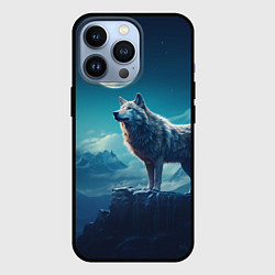 Чехол для iPhone 13 Pro Волк на фоне луны, цвет: 3D-черный
