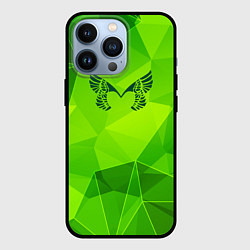 Чехол для iPhone 13 Pro Placebo green poly, цвет: 3D-черный