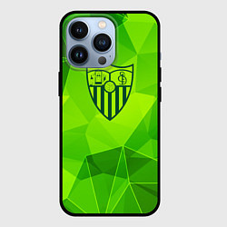 Чехол для iPhone 13 Pro Sevilla green poly, цвет: 3D-черный