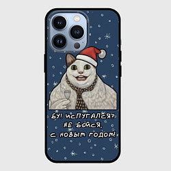 Чехол для iPhone 13 Pro Кот Бу - С новым годом, цвет: 3D-черный