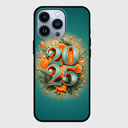 Чехол для iPhone 13 Pro Мандариновый 2025, цвет: 3D-черный