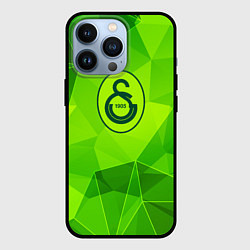 Чехол для iPhone 13 Pro Galatasaray green poly, цвет: 3D-черный
