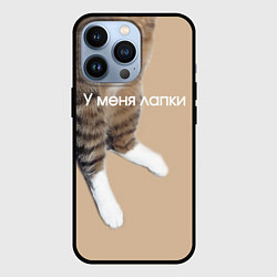 Чехол для iPhone 13 Pro У меня лапки кот Марс, цвет: 3D-черный