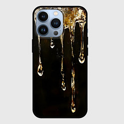 Чехол для iPhone 13 Pro Мед на коричневой текстуре, цвет: 3D-черный
