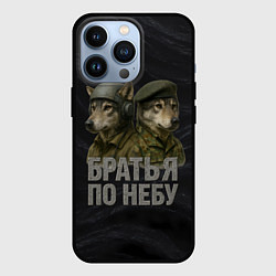 Чехол для iPhone 13 Pro Братья по небу ВДВ волки, цвет: 3D-черный