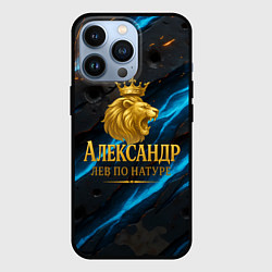Чехол для iPhone 13 Pro Александр лев по натуре, цвет: 3D-черный
