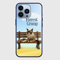 Чехол для iPhone 13 Pro Пародия Форрест Гамп - кот на скамейке, цвет: 3D-тёмно-синий