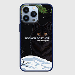 Чехол для iPhone 13 Pro Волк призрак темный арт, цвет: 3D-тёмно-синий