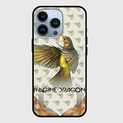 Чехол для iPhone 13 Pro Imagine Dragons: Fly, цвет: 3D-черный