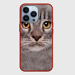 Чехол для iPhone 13 Pro Котик, цвет: 3D-красный
