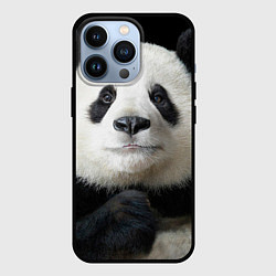 Чехол для iPhone 13 Pro Взгляд пандочки, цвет: 3D-черный