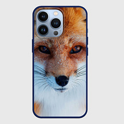Чехол для iPhone 13 Pro Взгляд лисы, цвет: 3D-тёмно-синий