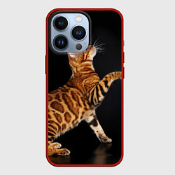 Чехол iPhone 13 Pro Бенгальская кошка