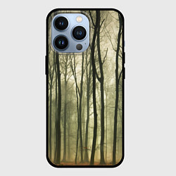 Чехол для iPhone 13 Pro Чарующий лес, цвет: 3D-черный