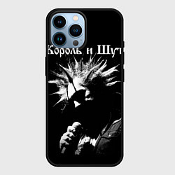 Чехол для iPhone 14 Pro Max Король и Шут Анархия спина, цвет: 3D-черный