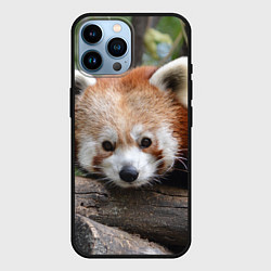 Чехол для iPhone 14 Pro Max Красная панда, цвет: 3D-черный