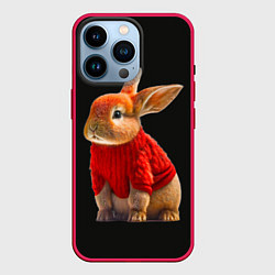 Чехол для iPhone 14 Pro Кролик в свитере, цвет: 3D-малиновый