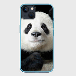 Чехол для iPhone 14 Взгляд пандочки, цвет: 3D-голубой