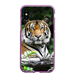 Чехол iPhone XS Max матовый Тигр в джунглях, цвет: 3D-фиолетовый