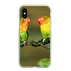 Чехол iPhone XS Max матовый Два попугая, цвет: 3D-салатовый