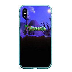 Чехол iPhone XS Max матовый TERRARIA, цвет: 3D-мятный