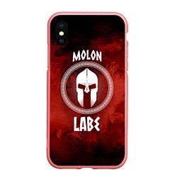 Чехол iPhone XS Max матовый Molon Labe, цвет: 3D-баблгам