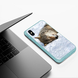 Чехол iPhone XS Max матовый Спящий Волк, цвет: 3D-мятный — фото 2