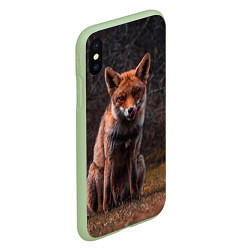 Чехол iPhone XS Max матовый Хищная лисица, цвет: 3D-салатовый — фото 2