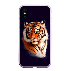 Чехол iPhone XS Max матовый Грозный Тигр Символ 2022 Года Tiger Beast, цвет: 3D-сиреневый