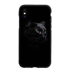 Чехол iPhone XS Max матовый Черна кошка с изумрудными глазами, цвет: 3D-черный