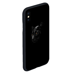 Чехол iPhone XS Max матовый Пантера во мгле, цвет: 3D-черный — фото 2