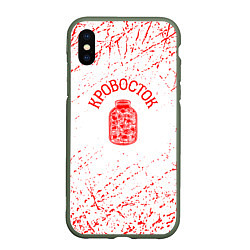 Чехол iPhone XS Max матовый Кровосток банка