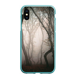 Чехол iPhone XS Max матовый Лес Туман, цвет: 3D-мятный