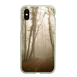 Чехол iPhone XS Max матовый Туманный лес на восходе, цвет: 3D-салатовый