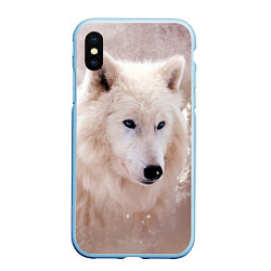Чехол iPhone XS Max матовый Белый зимний волк, цвет: 3D-голубой