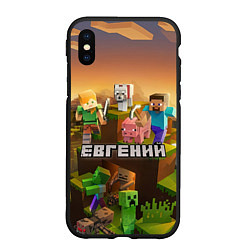 Чехол iPhone XS Max матовый Евгений Minecraft, цвет: 3D-черный