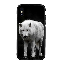 Чехол iPhone XS Max матовый Белый волк на темном фоне, цвет: 3D-черный