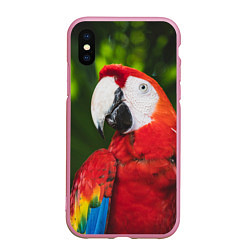 Чехол iPhone XS Max матовый Красный попугай Ара, цвет: 3D-розовый