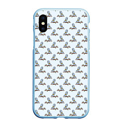 Чехол iPhone XS Max матовый Совушки на ветках, цвет: 3D-голубой