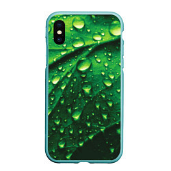 Чехол iPhone XS Max матовый Утренняя роса, цвет: 3D-мятный